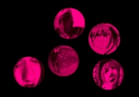 Pink_Piatka_3 GORA.jpg